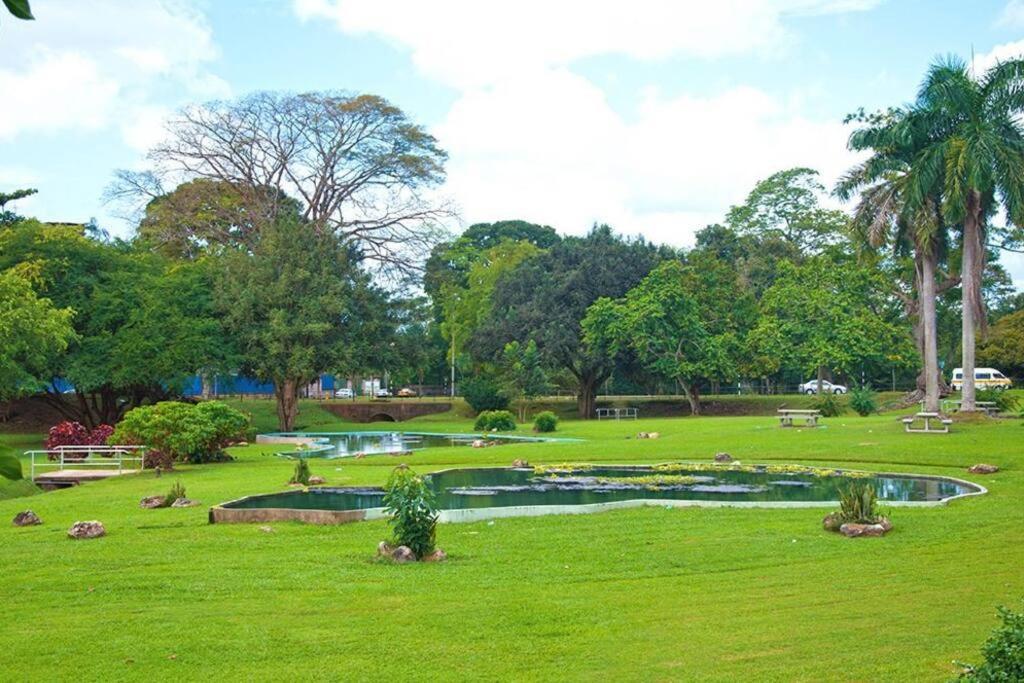 Raynebow Chateau - Chic City Getaway Port of Spain Exteriér fotografie